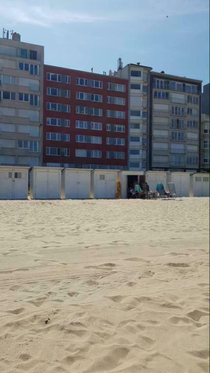 Apartment 2 Slaapkamer Op De Zeedijk Oostende. Ostend